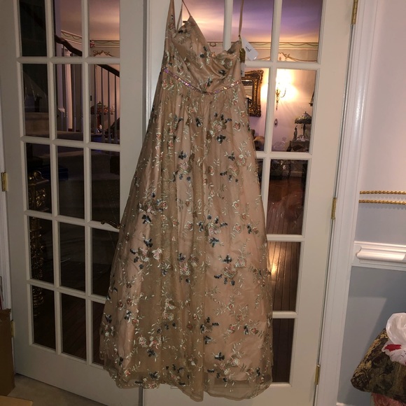 NWT TLC Say yes to the Prom Nude Embroidered Dress - Picture 5 of 9